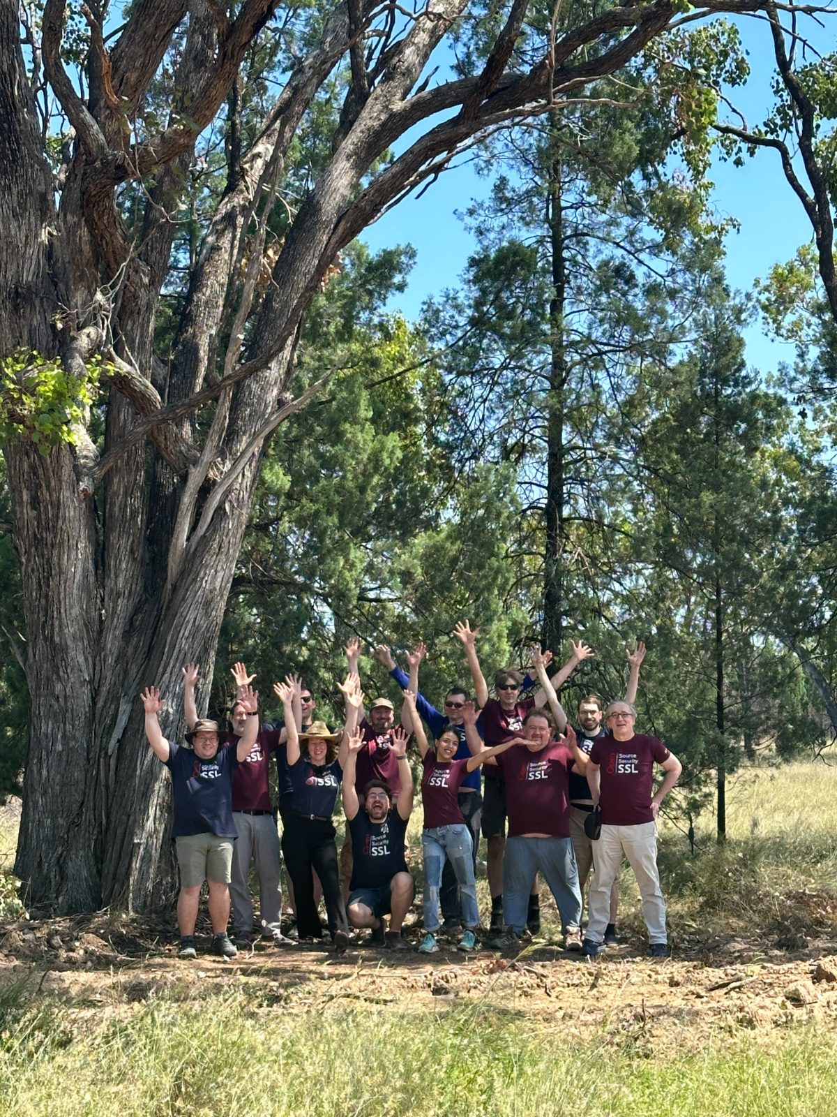 Photo of OpenSSL F2F 2024 in-person attendees making a fun pose